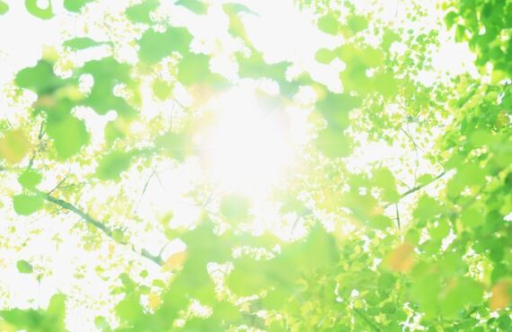 腰痛でお悩みの方は清水町の整体テラ・ラポールへ｜
